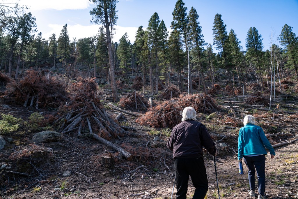 TDP-Z-AldeferThree-Sisters-Trailhead-102524-rs-006.jpg