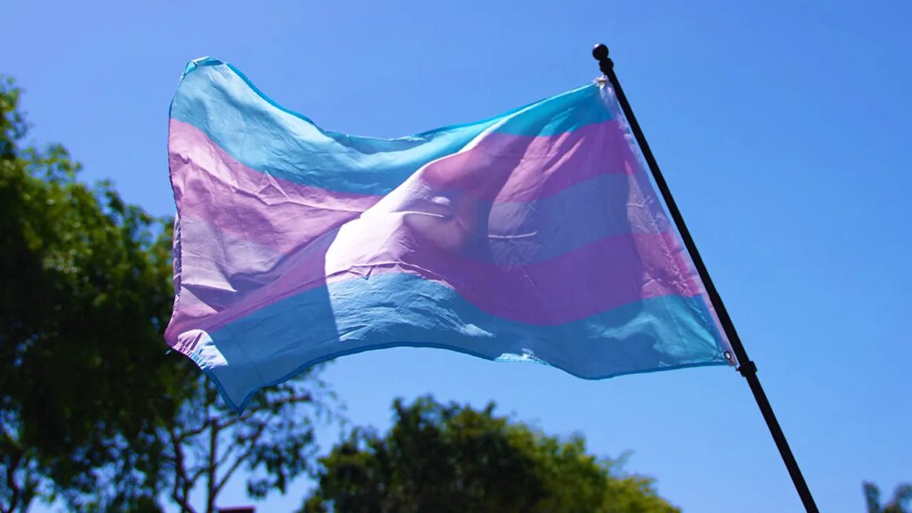 Transgender-flag.jpg