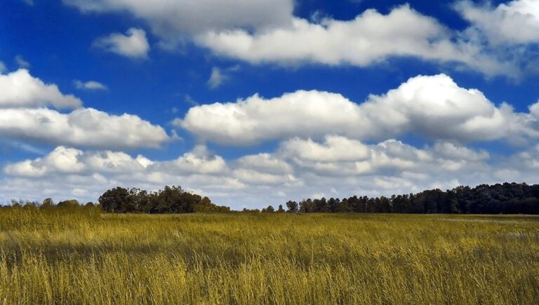 clouds-meta.jpg